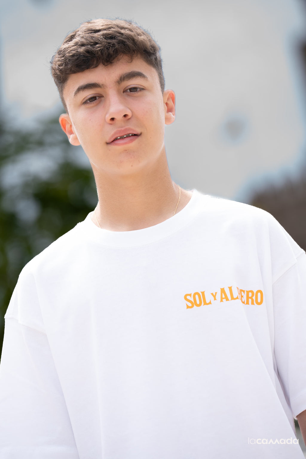 SOL Y ALBERO